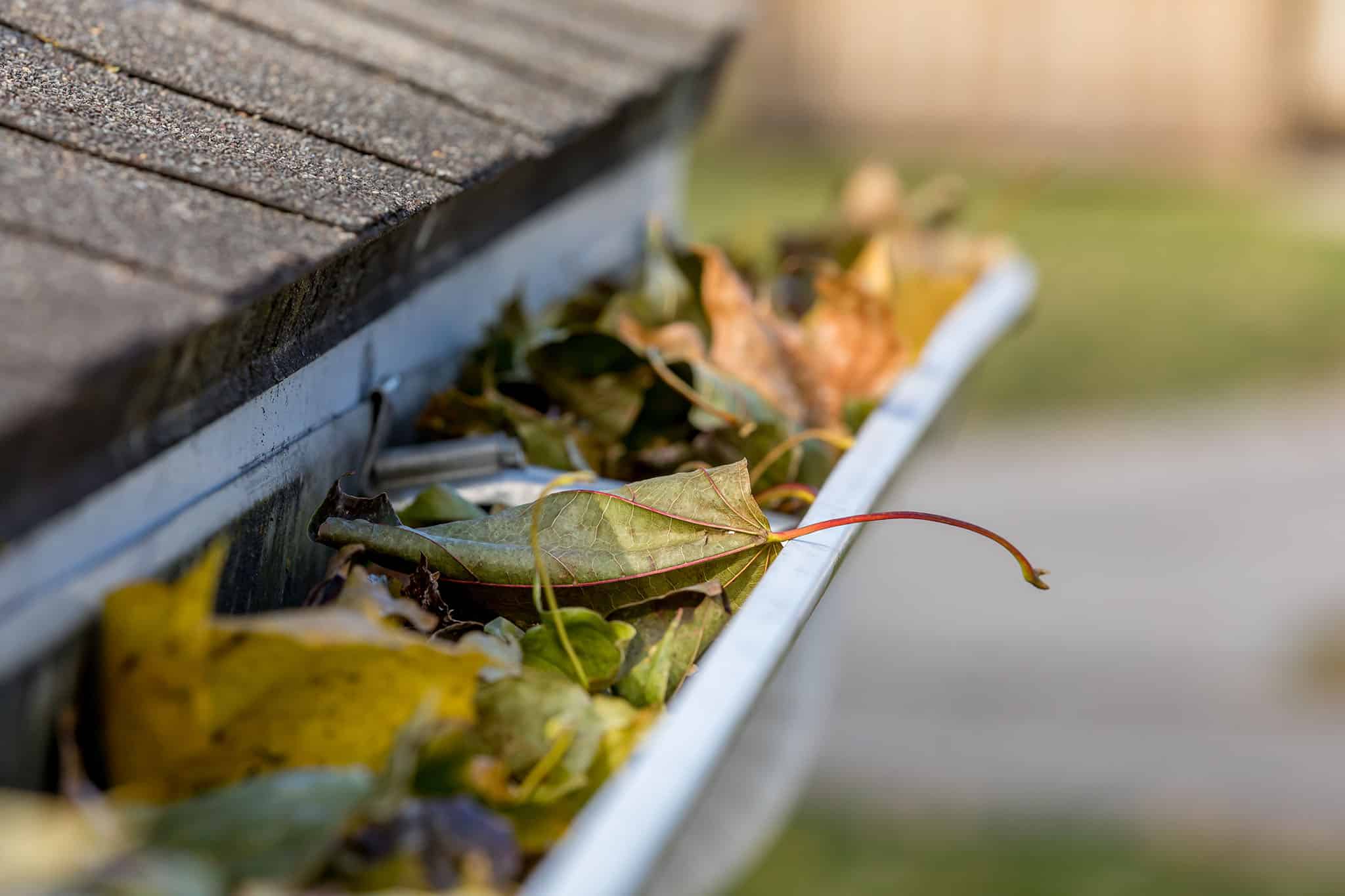 Gutter Cleaning