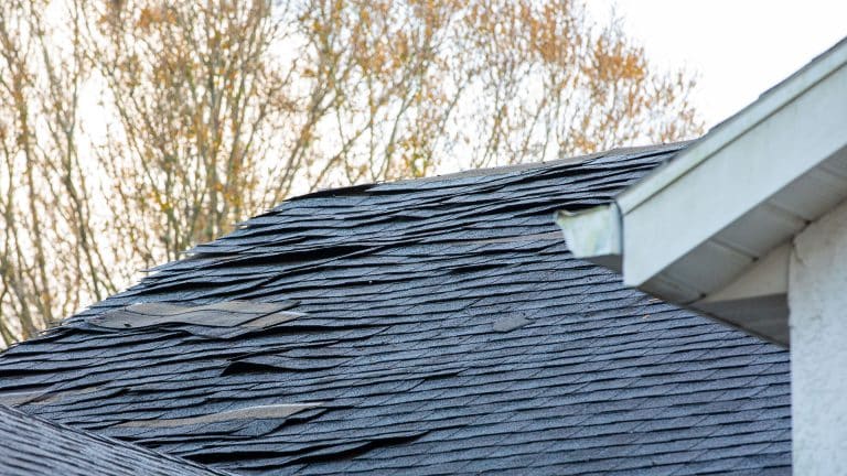 Roof Repair Services Missouri