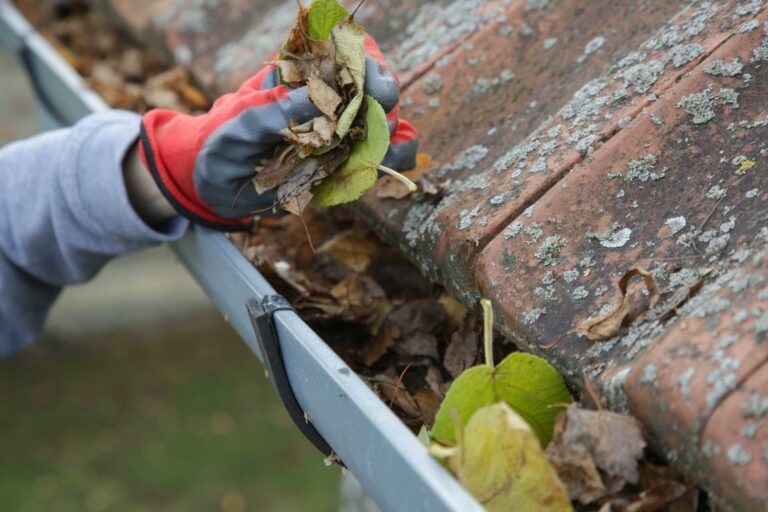 Gutter Cleaning Near Me