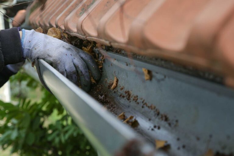 Gutter Cleaning Springfield Mo Tools Diy