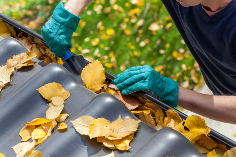 Best Tools For Diy Gutter Cleaning Missouri